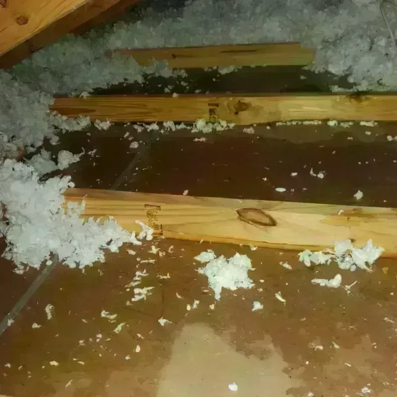 Attic Water Damage in Garden City, NY